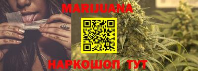 бошки Кингисепп